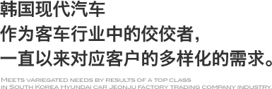 韩国现代汽车作为客车行业中的佼佼者,一直以来对应客户的多样化的需求。