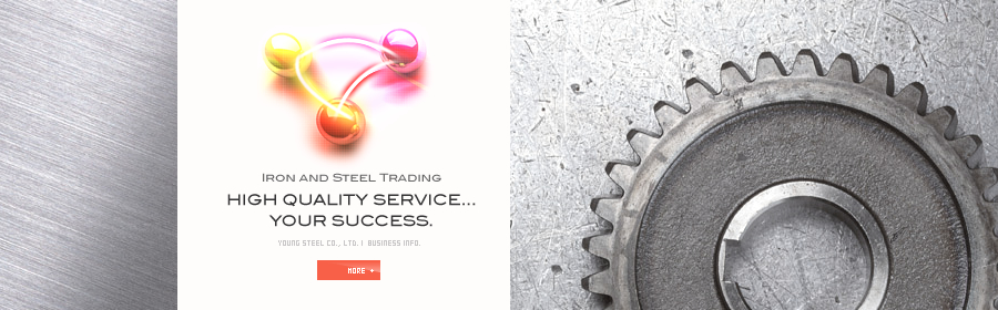 HIGH QUALITY SERVICE…YOUR SUCCESS./Business of YOUNG STEEL Co.,Ltd.